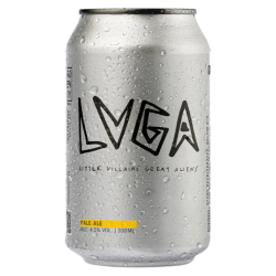 Broken City - LVGA - 4.5% - 33cl - Can