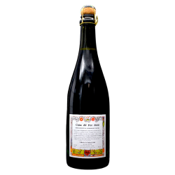 Vulcain - Cidre de Fer 2020 - 5% - 75cl - Bte