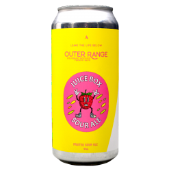 Outer Range - Juice Box - 4.5% - 44cl - Can