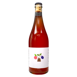 A Tue Tête - Cidre de pomme aux Prunes rouges - 7.3% - 75cl - Bte