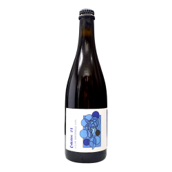 Les Intenables - Cuvée 31 - Saison Perpétuelle - 6,0% - 75cl - Bte