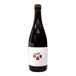 A Tue Tête - Cidre Pinot - 6.7% - 75cl - Bte