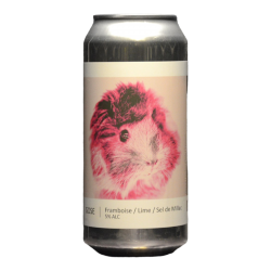 Popihn - Gose Framboise Lime - 5% - 44cl - Can
