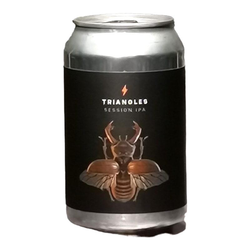 Garage - Triangle - 4.8% - 33cl - Can