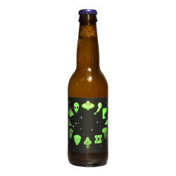 Omnipollo - Zodiak - 6.2% - 33cl - Bte