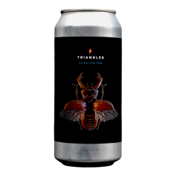 Garage Beer Co - Triangles - 4.8% - 44cl - Can - DDM bientot/ dépassée