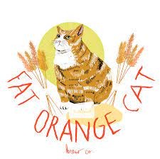 Fat Orange Cat