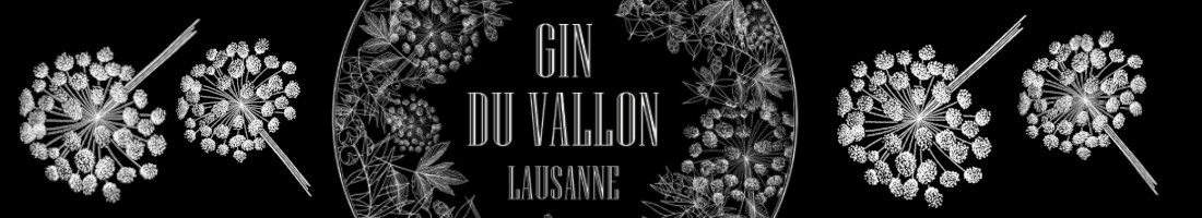 Gin du Vallon
