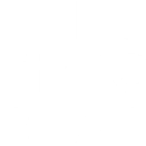 Electric Bear Brewing Co.