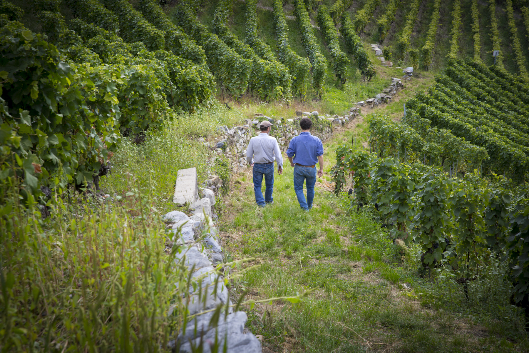Domaine Christinat
